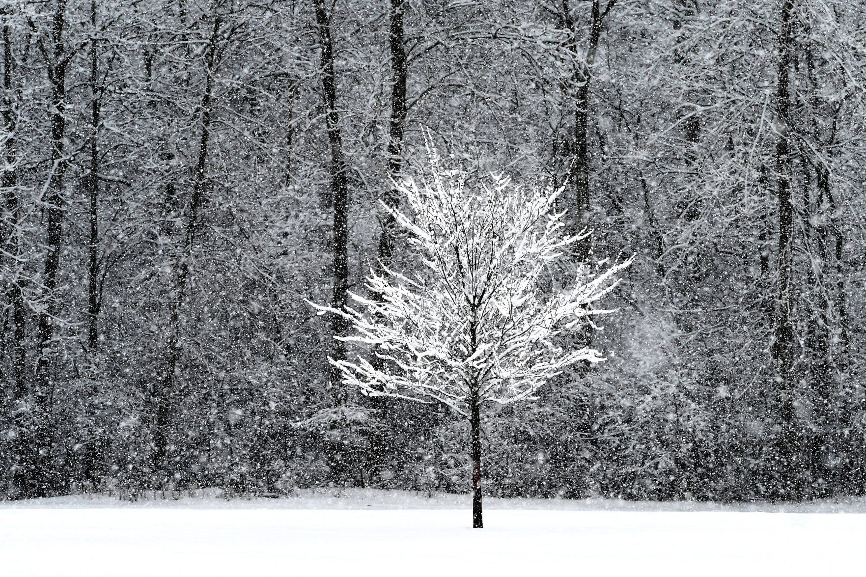 Frosted countryside 8